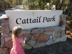 Cattail Park is just one of 151 parks in The Woodlands Township for residents and visitors to enjoy. (Photo courtesy The Woodlands Township)