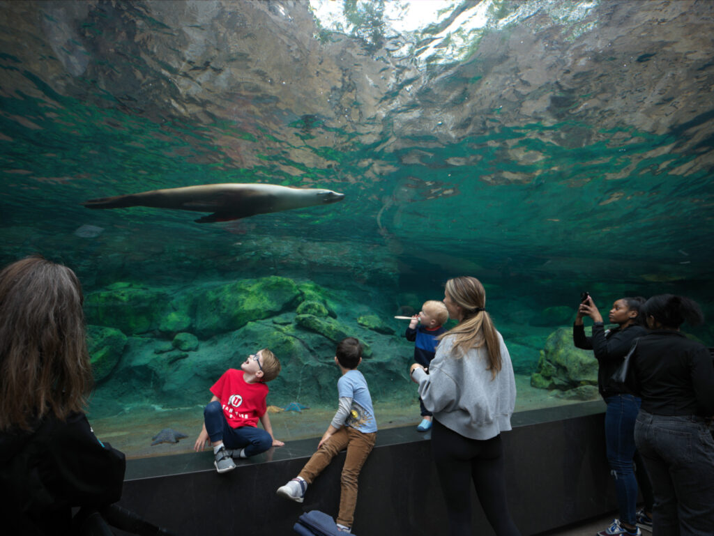 The One Ocean aquarium is truly magical. Photo courtesy Houston Zoo.