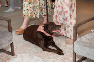 A special guest enjoying William Atkinson's works (Photo by Mark Anthony Nelson)