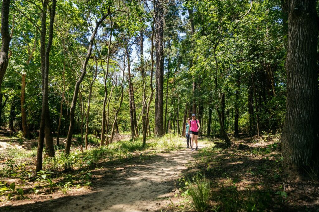 George Mitchell Nature Preserve