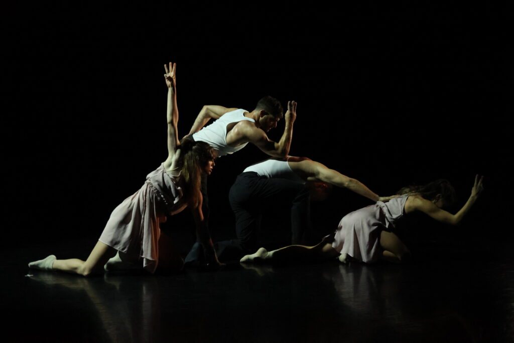 "among dim shapes" by Ishida Dance. The dance troupe makes a bold debut at Asia Society Texas Center June 9-11. (Photo by Amitava Sarkar)