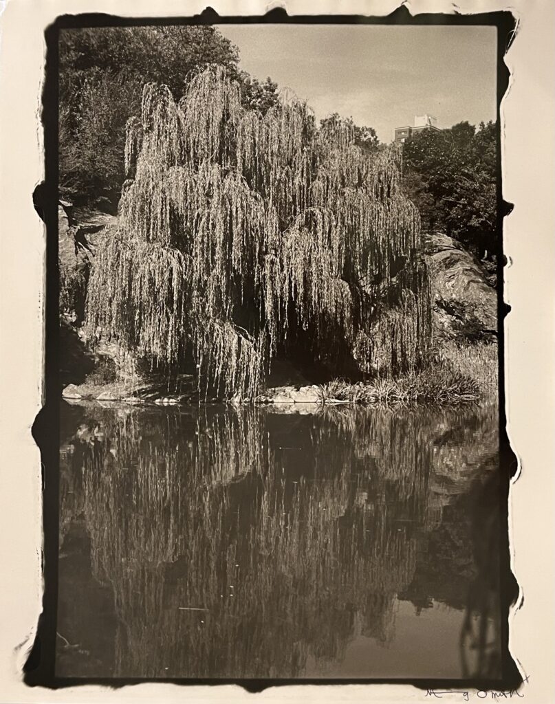 Ming Smith's "Morning Side Park, New York (Harlem)," 1999. (Courtesy Barbara Davis Gallery)