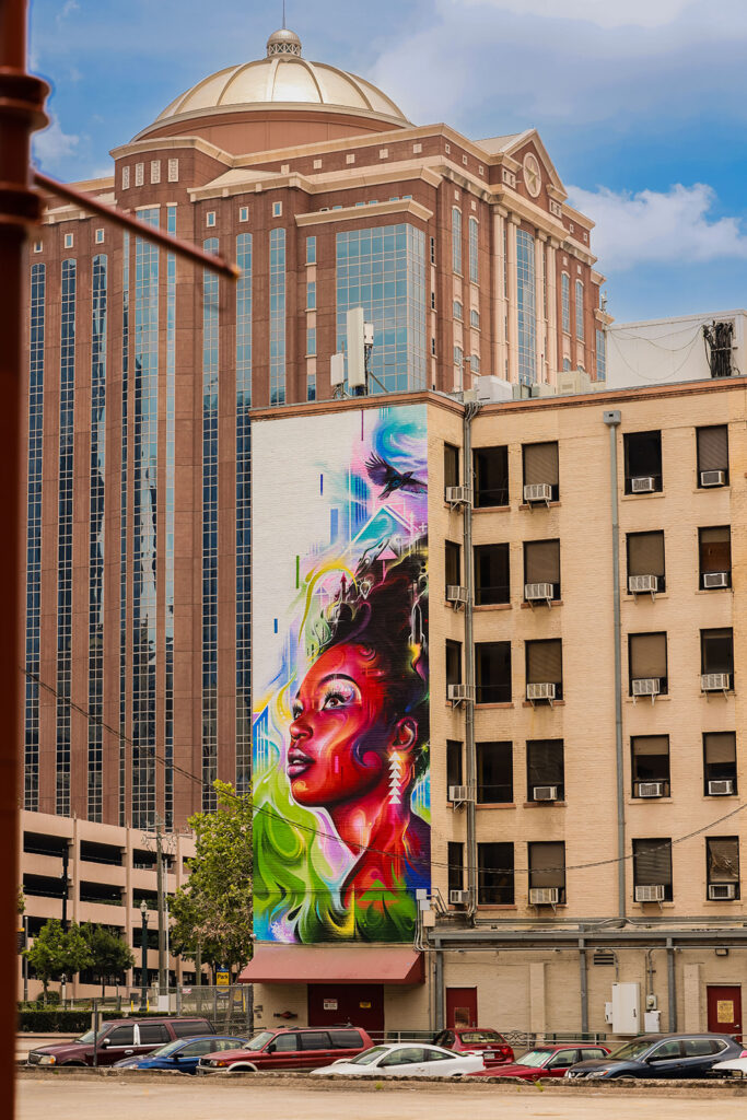 "Elevation" by Mr. Cenz (Photo by Egidio Narvaez Photography)