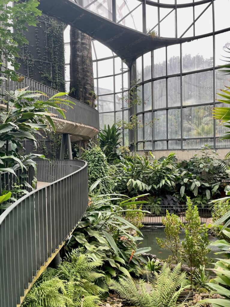The inside of El Tropicario, a unique botanic garden.  (Photo by Cole Von Feldt)