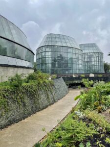 The Outside of El Tropicario. (Photo by Cole Von Feldt)