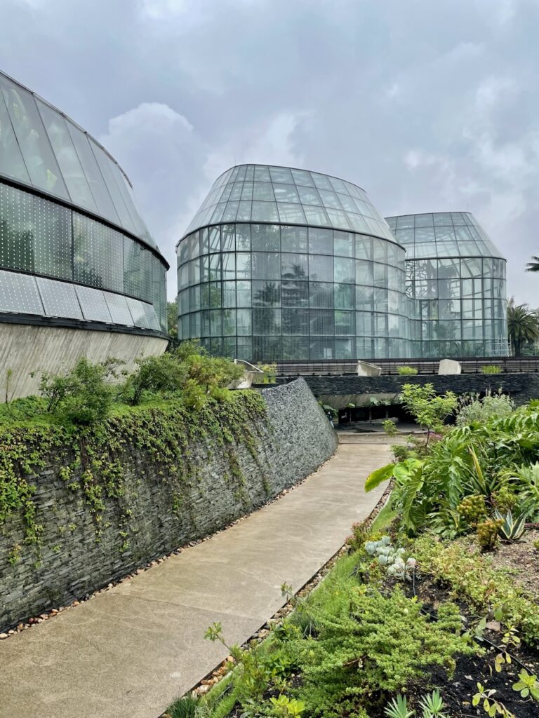 El Tropicario is a series of six enclosed and connected glass modules. (Photo by Cole Von Feldt)