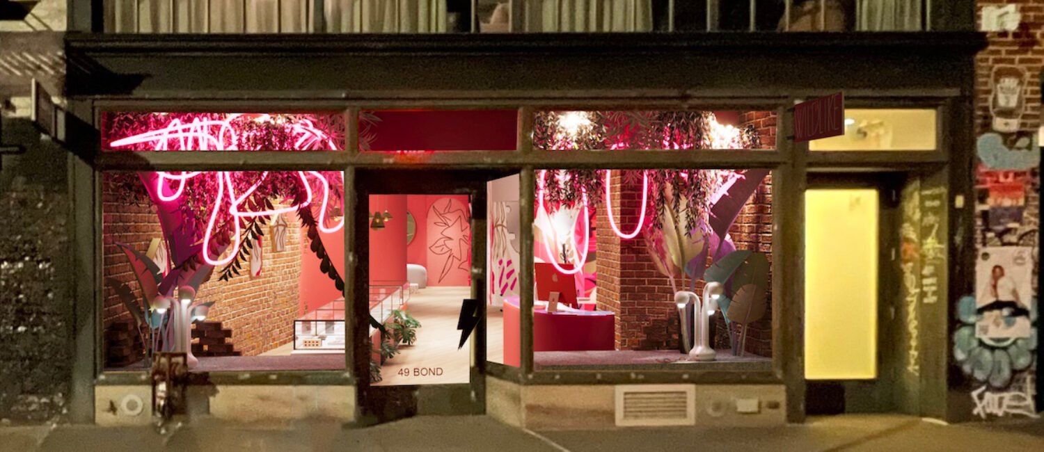 Wildlike Piercing Shop New York Rendering – Extrerior