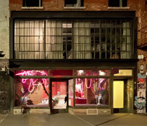 Wildlike Piercing Shop New York Rendering – Extrerior
