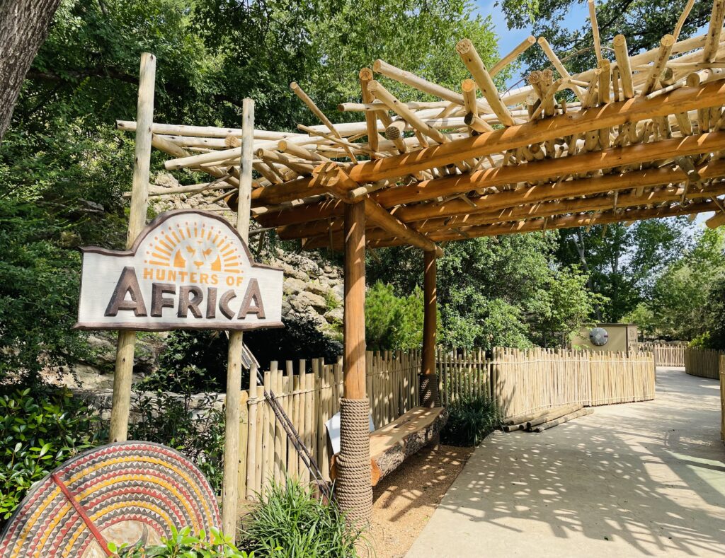 The new predators exhibit is split into Asian and African species. (Photo by Courtney Dabney)