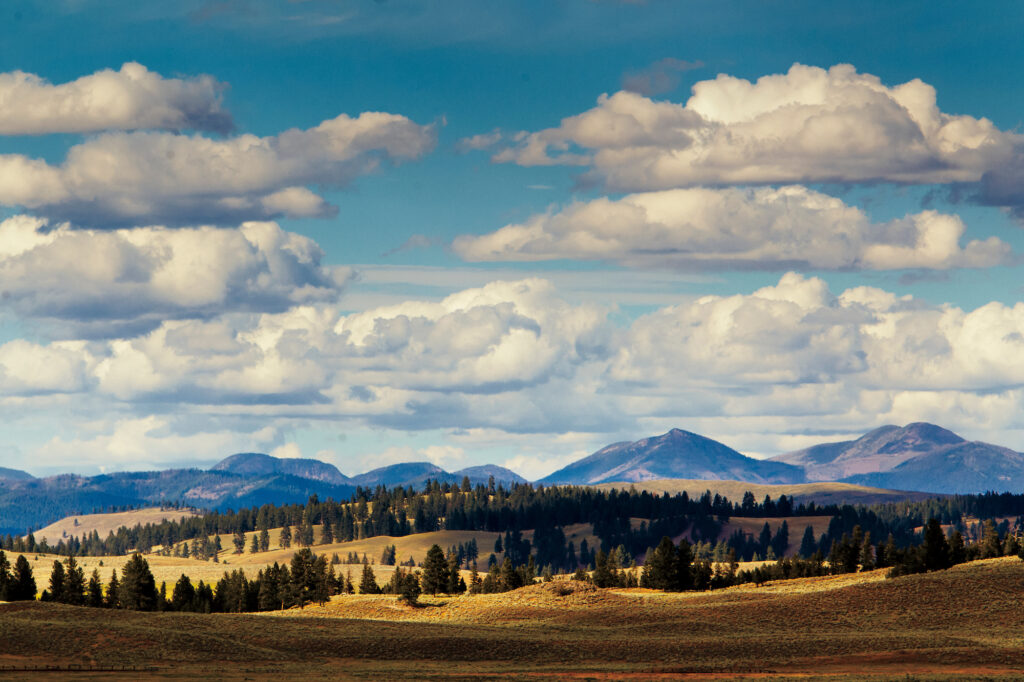 Sprawling land and mouthwatering views surround The Resort at Paws Up. (Photo by Stuart Thurlkill)