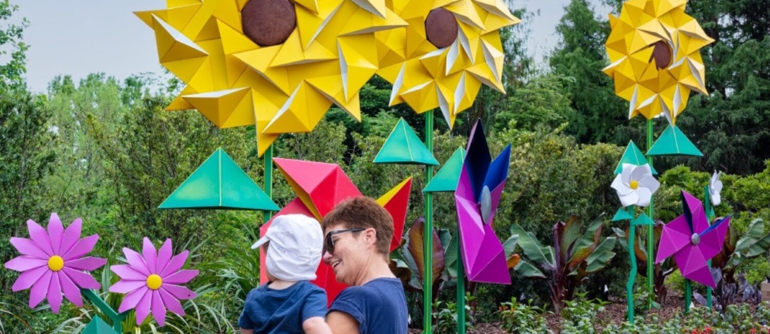 BPinwheel Wildflowers gently move in the breeze. (Photo by Kevin Box Studio.