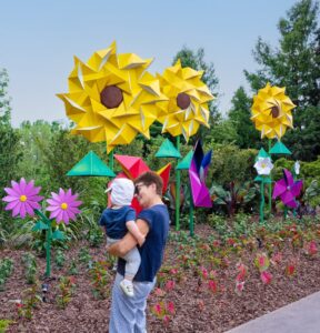 BPinwheel Wildflowers gently move in the breeze. (Photo by Kevin Box Studio.