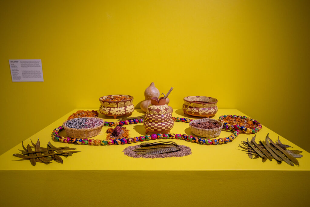 Gabo Martinez's “The Land of Flowers” is on view at the Houston Center for Contemporary Craft (Photo by Katy Anderson)