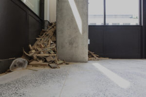 Patrick Renner (Photo by Emily Peacock)