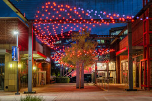 SHOAL adds to The Woodlands’ extensive arts scene.
