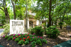 V.Trellis Spa Entrance