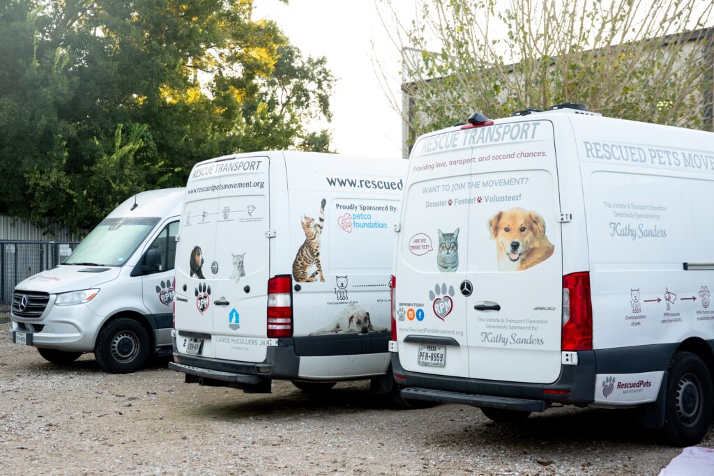 A decade ago, RPM’s founders created an innovative transport model to rescue homeless animals and rehabilitate them with volunteer Houston foster families before they board their own specially equipped motorbuses to take them to states like Colorado and Utah where they eventually will find their future “fur-ever” families. (Photo by Paige Beitler)