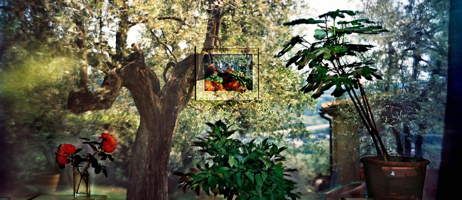 Abelardo Morell – AM.CO.COL.017.4860.3 – web