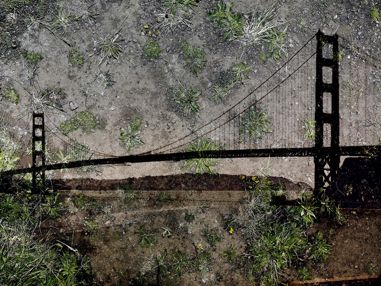 Abelardo Morell's tent-camera image on ground work <em>View of the Golden Gate Bridge from Battery Yates</em>, 2012. (Courtesy Foto Relevance)