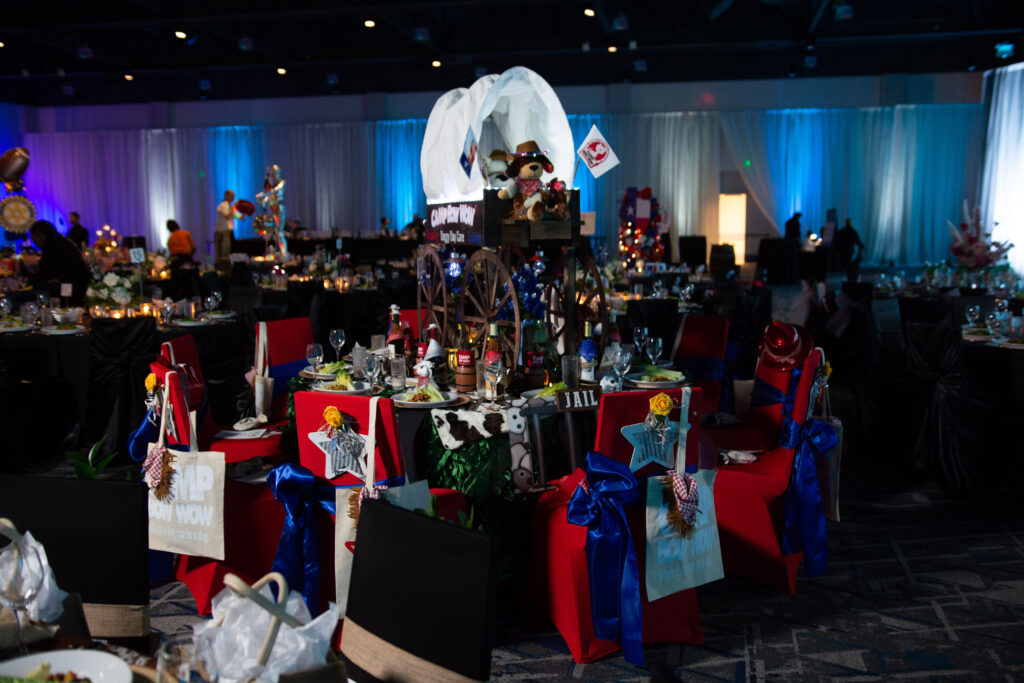 The best did it yourself went to Camp Bow Wow.