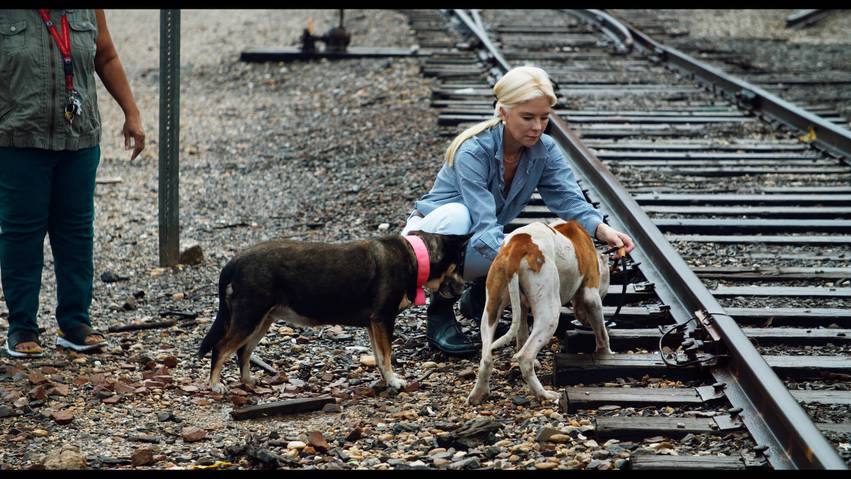 Tena Lundquist Faust and Tama Lundquist are the forces behind and the faces in front of the documentary film ‘For the Animals,’ which exposes Houston’s problem with strays and abandoned animals.