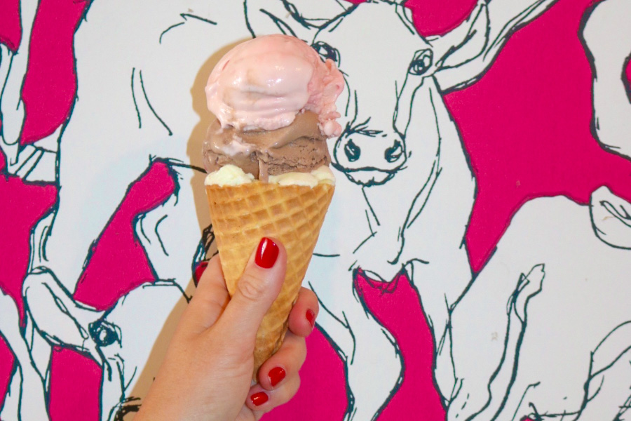 The clever collaboration highlights some of the chef-driven flavors Marques has devised over the years like Oaxaca hot chocolate and balsamic strawberry, tastes which have prompted Southern Living Magazine to declare Craft Creamery one of the top eight ice cream parlors in the South. Photo by Addison Hall.