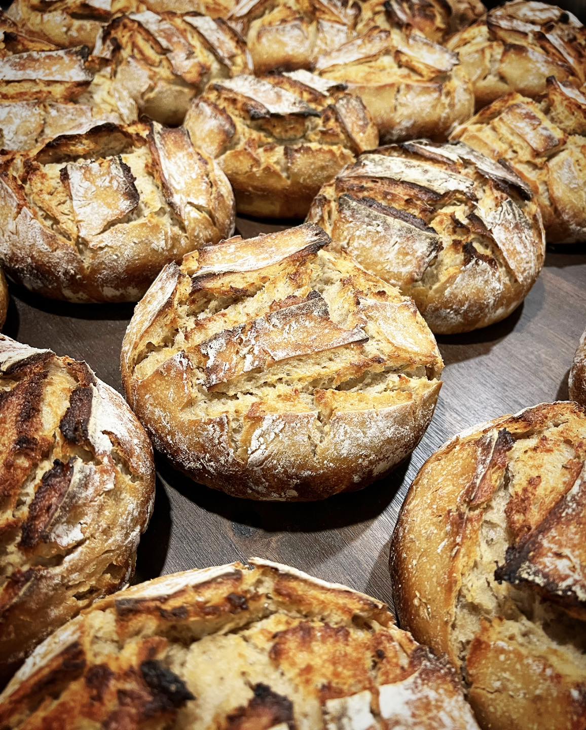 New bakery wunderkind Sour Boule just opened on Benbrook Traffic Circle.