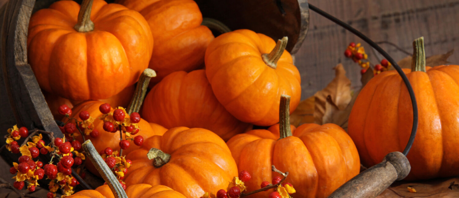 Small pumpkins with wood bucket