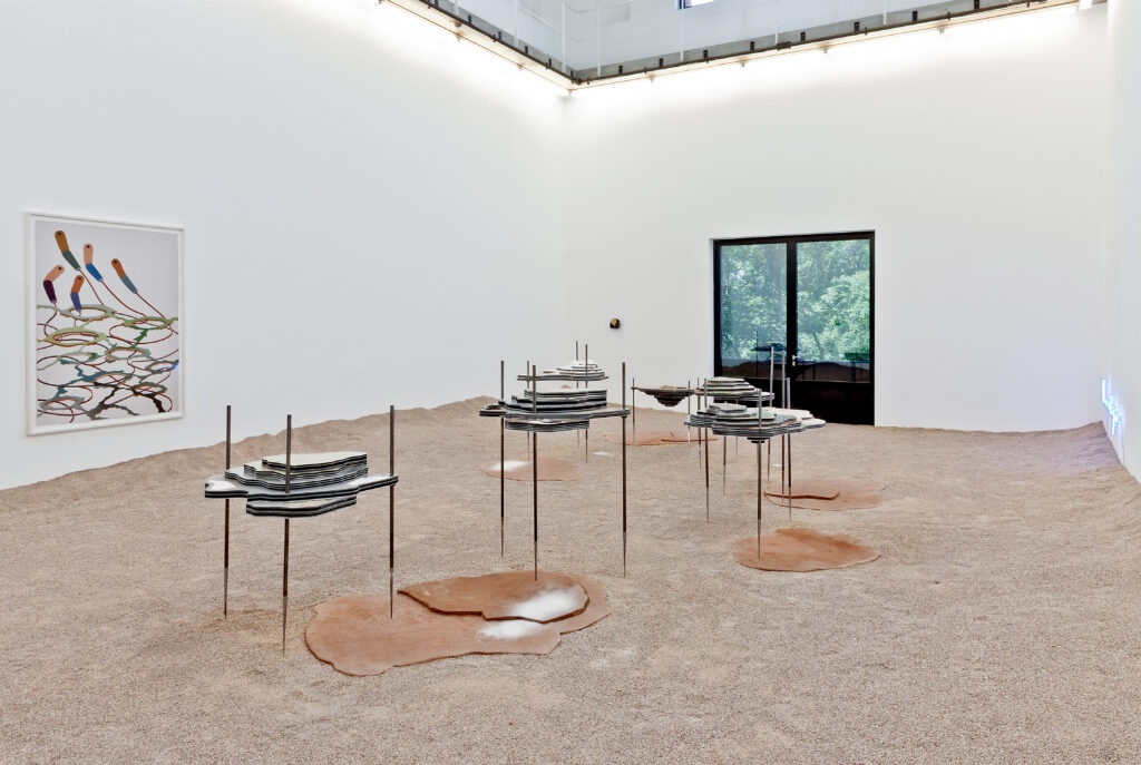 Otobong Nkanga's "Solid Maneuvers," 2015. (Photo by Helena Schlichting. Courtesy Nasher Sculpture Center)