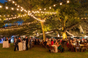 The Menil Collection’s Party in the Park (Photo by Lawrence Elizabeth Knox)