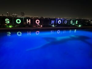 The pool at the opening reception for “Surface Tension” at Assembly Gallery, in partnership with Soho House (Photo by Haley Berkman Karren)