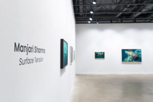 Manjari Sharma-Surface Tension-13