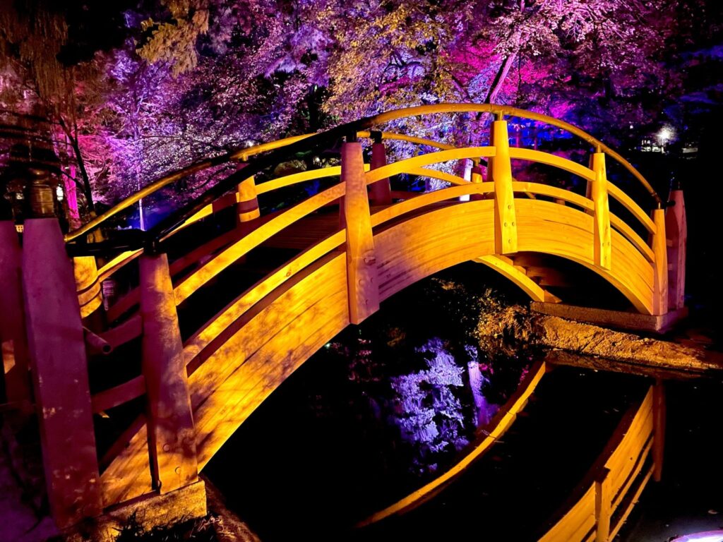 The Japanese Garden's new arched bridge reflects in the water during Lightscape. (Photo by Courtney Dabney).