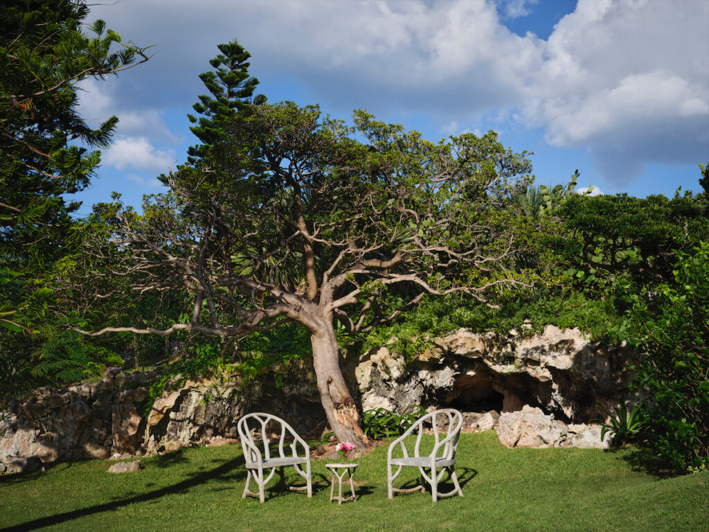 A natural cave formation was uncovered in a wooded area on the property. Fauxbois chairs in heavy concrete resist strong island winds. The ancient, gnarled pittosporum tree is native to the island. (Photo by Douglas Friedman)