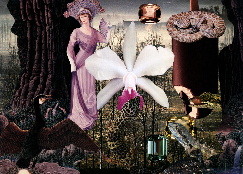 Ann Harithas' "Swamp Mother," 1992, at Art Car Museum. The collage title also references an art car Ann Harithas commissioned and created with late Texas Artist of the Year Jesse Lott. (Courtesy Art Car Museum)