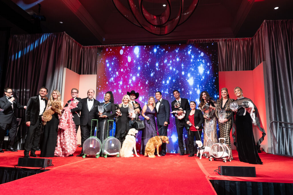 Honorees and their pets on stage at the Citizens for Animal Protection Celebrity Paws Gala at the Pot Oak Hotel (Photo by Daniel Ortiz)