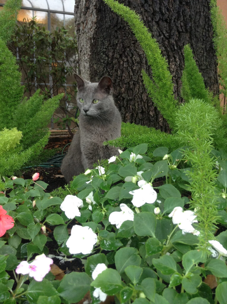 Duncan at the Rosewood Mansion on Turtle Creek (photo courtesy) (Photo by Madi Hurley)