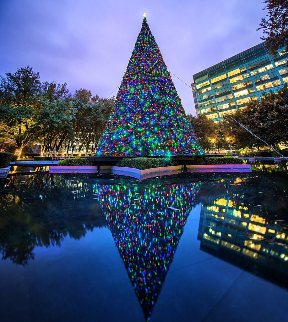 Be sure to visit Uptown's tallest tree in the Harwood District.