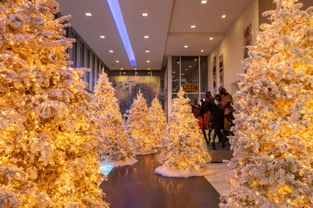 An enchanting holiday wonderland awaits in the Harwood District.