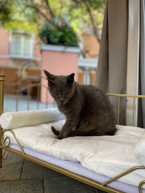 Duncan at his post by the valet stand. (photo courtesy) (Photo by Madi Hurley)