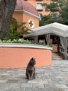 In front (Photo by Madi Hurley)