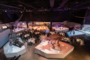 View of Dinner in the Morian Hall of Paleontology (Photo by Mike Rathke, HMNS Photographer)