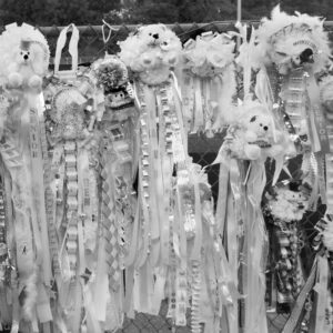 on the fence – MUMENTOUS Amy J Schultz