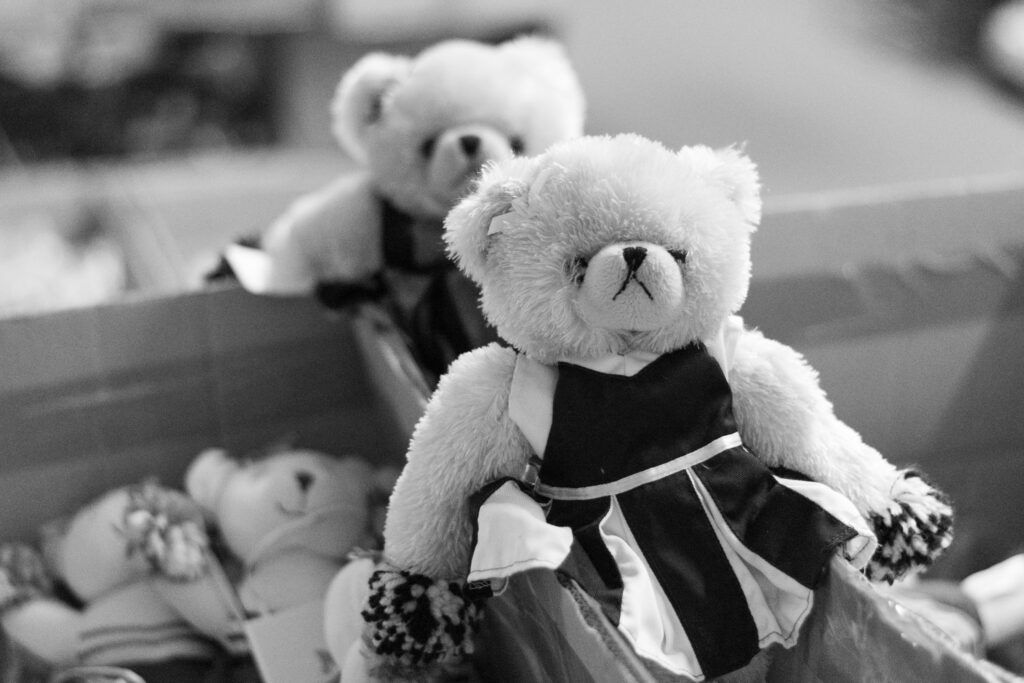 Amy J. Schultz's "Teddy Bears on Parade" from "Mumentous" (Courtesy Amy J. Schultz) 