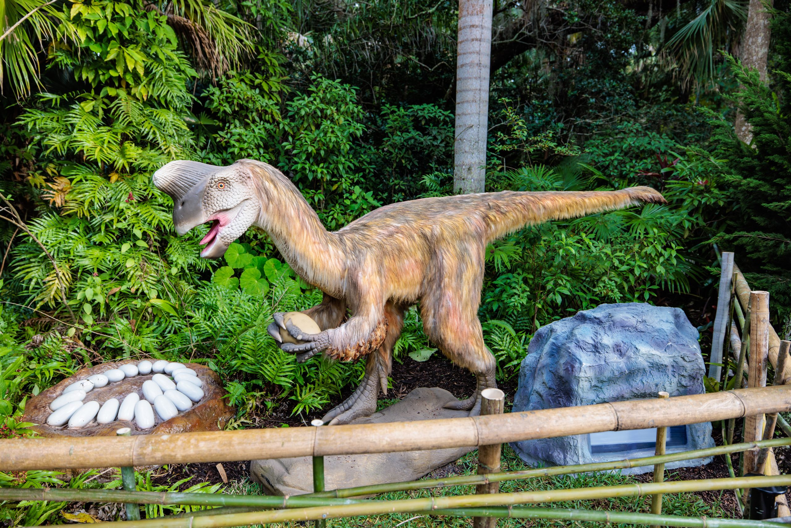 FWBG Dinosaurs Around the World – Oviraptor the birdlike dinosaur you never knew.