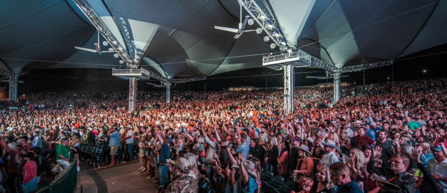 Pavilion crowd 2024