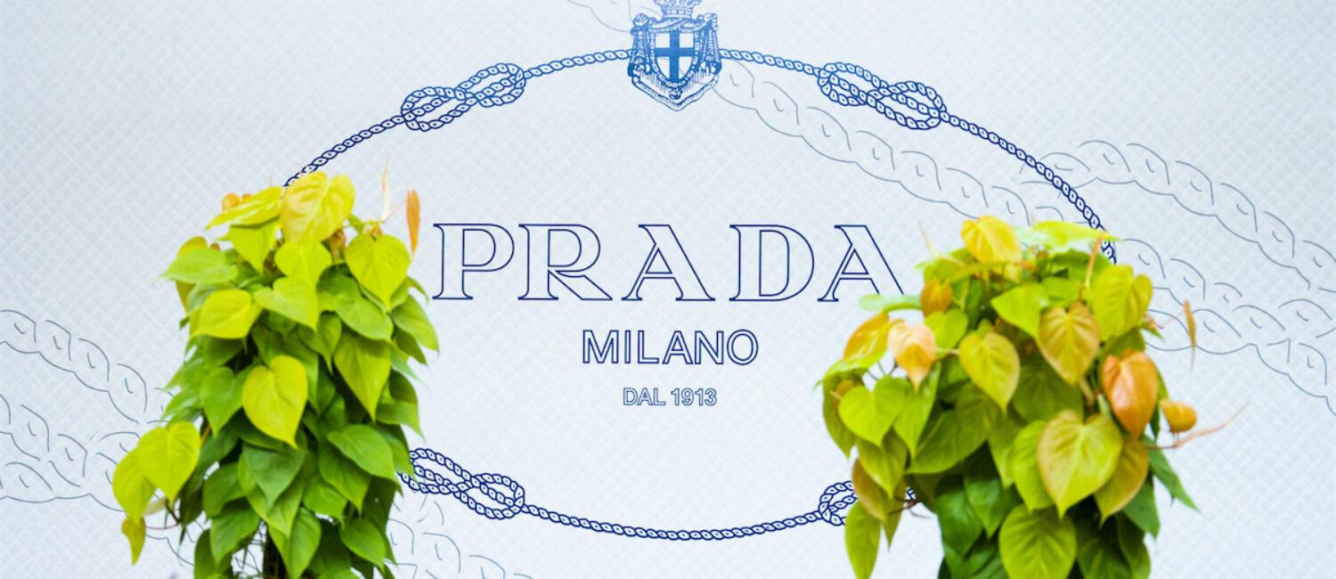 prada northpark dallas store