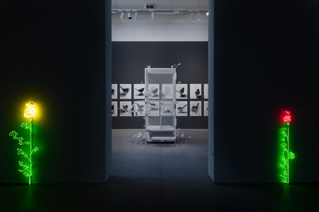 "For What It’s Worth: Value Systems in Art since 1960," The Warehouse, Dallas, installation view with work by Jill Magid (2 works, foreground) and Simon Denny (background), on view through June 29, 2024 (Photo by Kevin Todora)