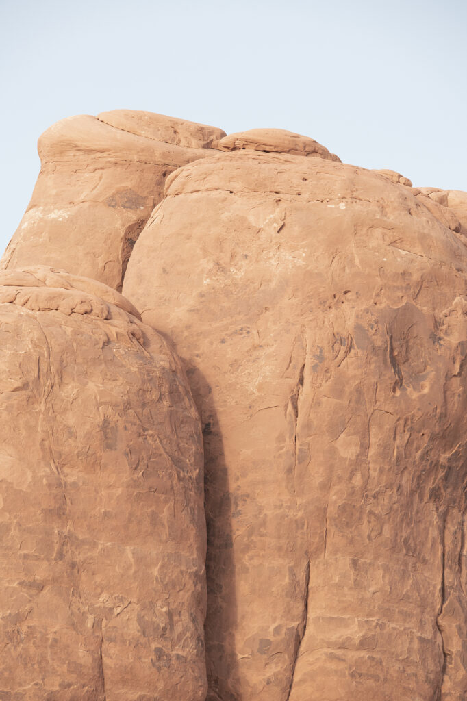 Renate Aller's "Commensalism #2," 2023 (Courtesy the artist and FotoFest)