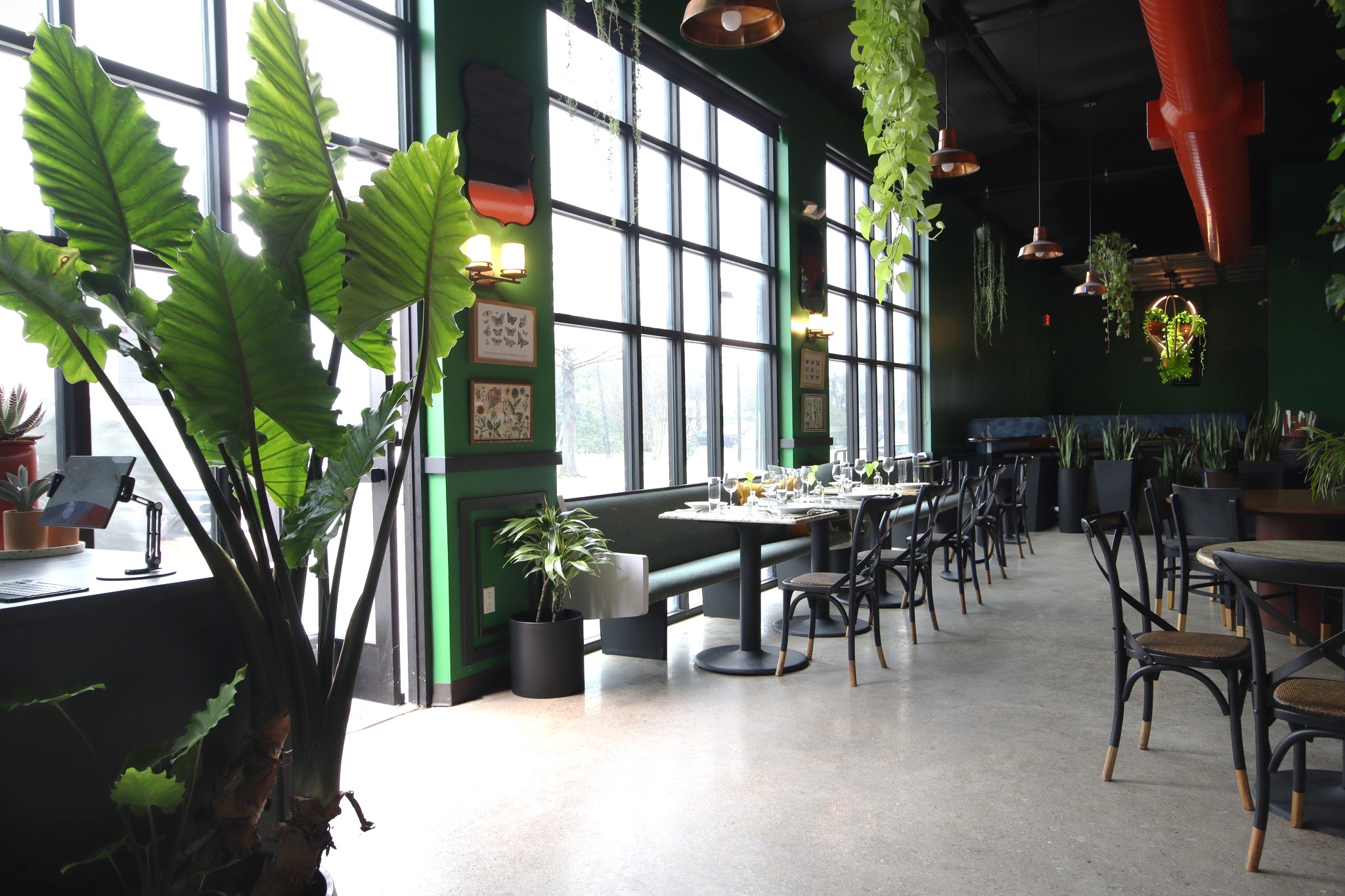 April 2024 Food – Cafe Americana is a tropical oasis in downtown Arlington.
